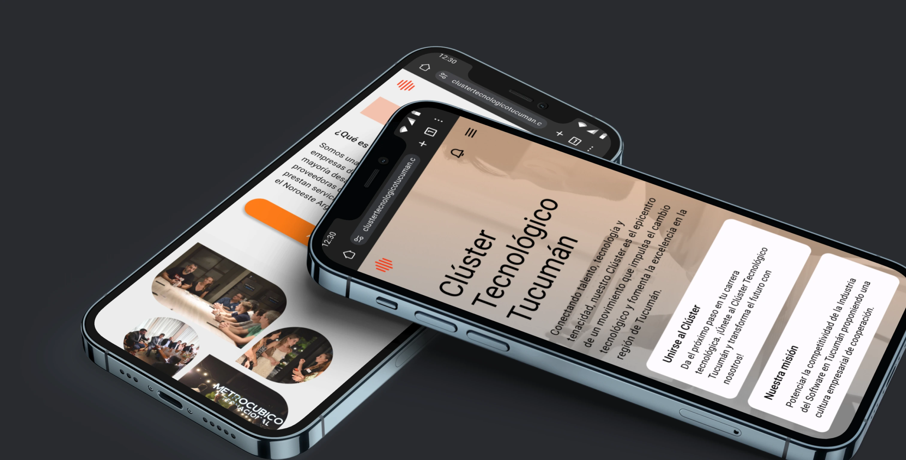 Web institucional: Cluster Tecnológico Tucumán Proyecto desarrollado por Rappid Tech: Web institucional: Cluster Tecnológico Tucumán
