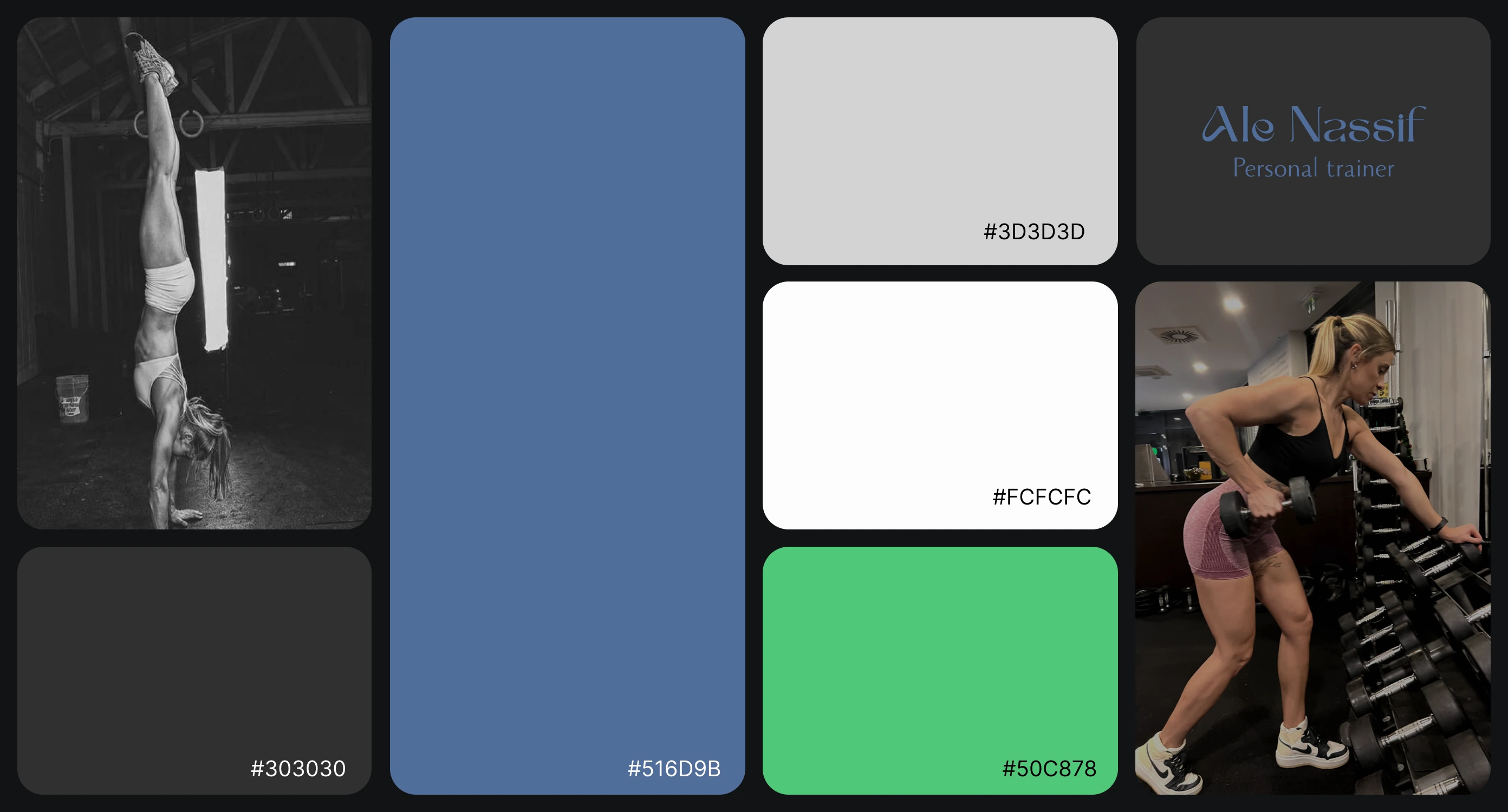 Paleta de colores | Logotipo | Alejandra Nassif entrenando | Identidad visual completa Paleta de colores | Logotipo | Alejandra Nassif entrenando | Identidad visual completa